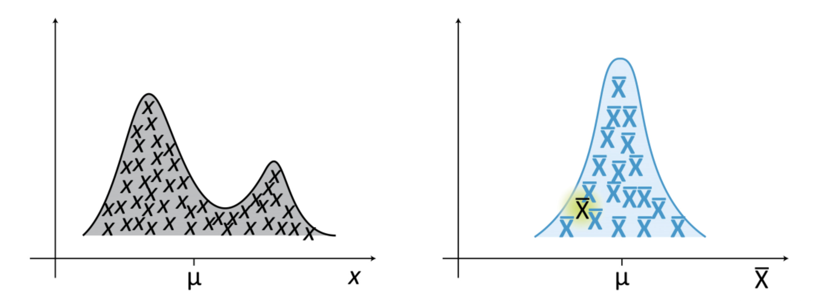 _images/sampling_distribution.png